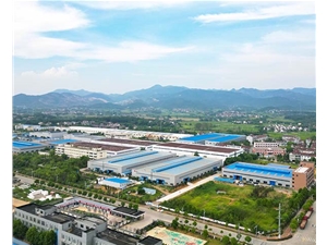 生產(chǎn)基地銅陵誠易